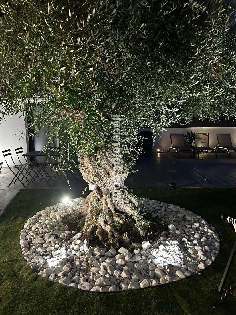 Photo 14 : NC d'une maison situ&eacute;e &agrave; Le Bois-Plage-en-R&eacute;, &icirc;le de R&eacute;.