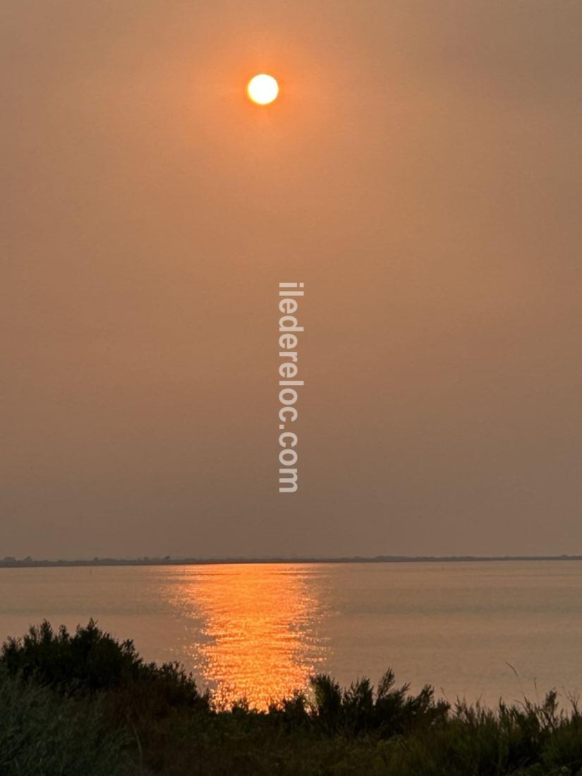 Photo 16 : NC d'une maison situ&eacute;e &agrave; Le Bois-Plage-en-R&eacute;, &icirc;le de R&eacute;.
