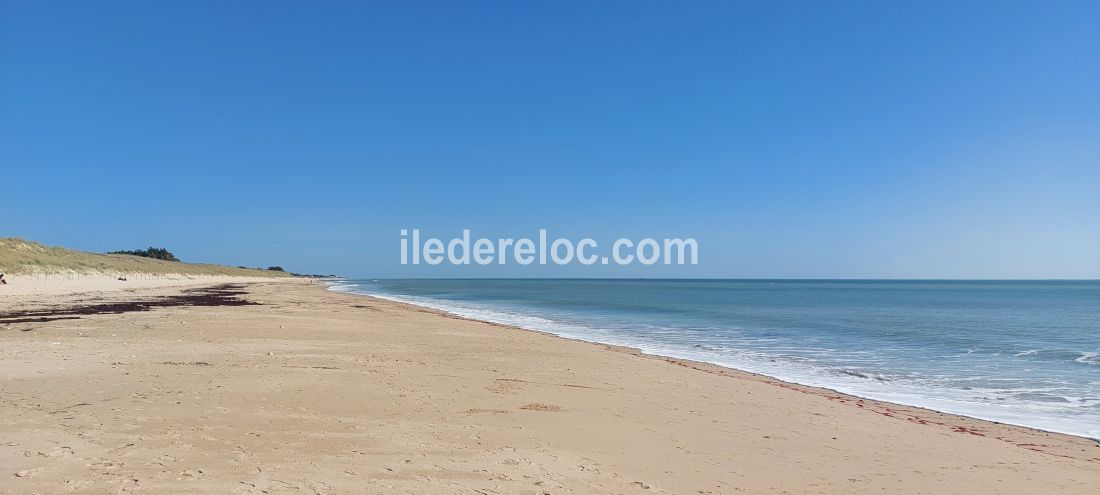 Photo 5 : NC d'une maison situ&eacute;e &agrave; Le Bois-Plage-en-R&eacute;, &icirc;le de R&eacute;.