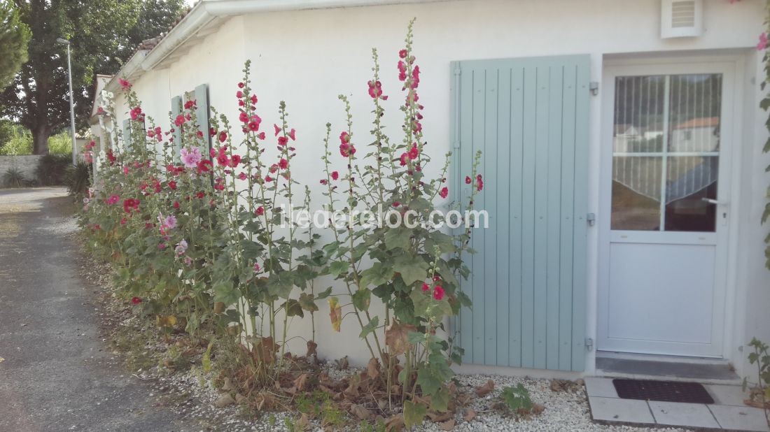 Photo 8 : EXTERIEUR d'une maison situ&eacute;e &agrave; Le Bois-Plage-en-R&eacute;, &icirc;le de R&eacute;.