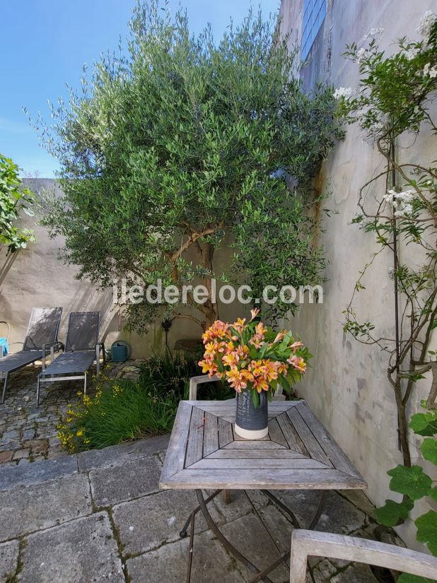 Photo 11 : NC d'une maison situ&eacute;e &agrave; La Flotte-en-R&eacute;, &icirc;le de R&eacute;.