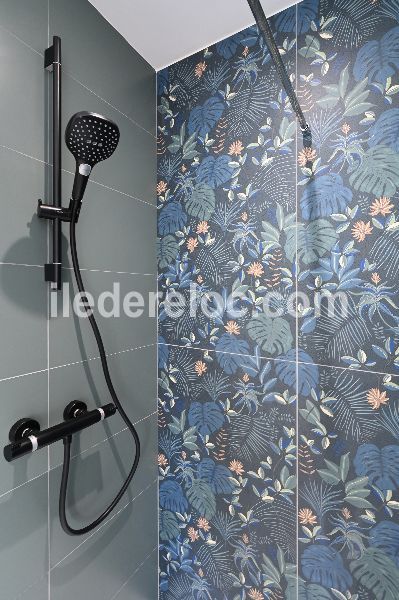 Photo 48 : SALLEDEBAIN d'une maison situ&eacute;e &agrave; Ars en R&eacute;, &icirc;le de R&eacute;.