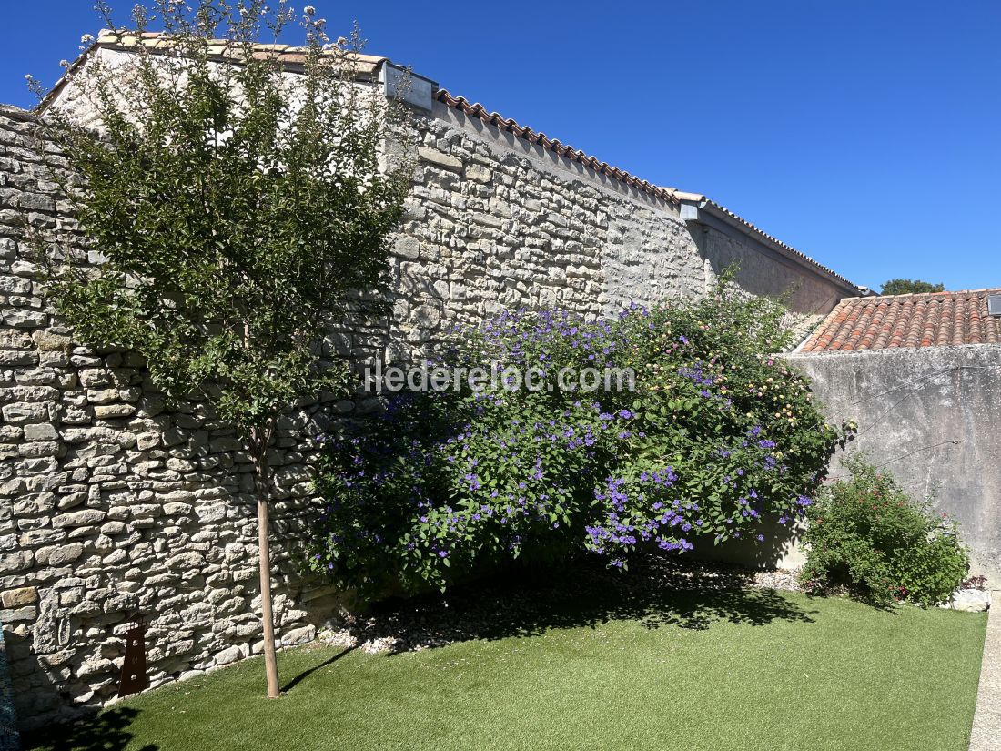 Photo 11 : JARDIN d'une maison situ&eacute;e &agrave; Saint-Martin-de-R&eacute;, &icirc;le de R&eacute;.