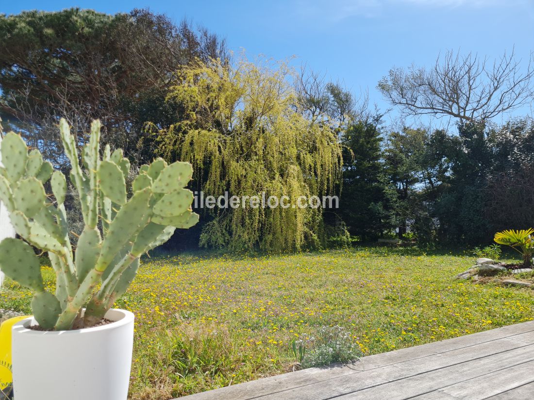 Photo 23 : JARDIN d'une maison située à Sainte-Marie-de-Ré, île de Ré.