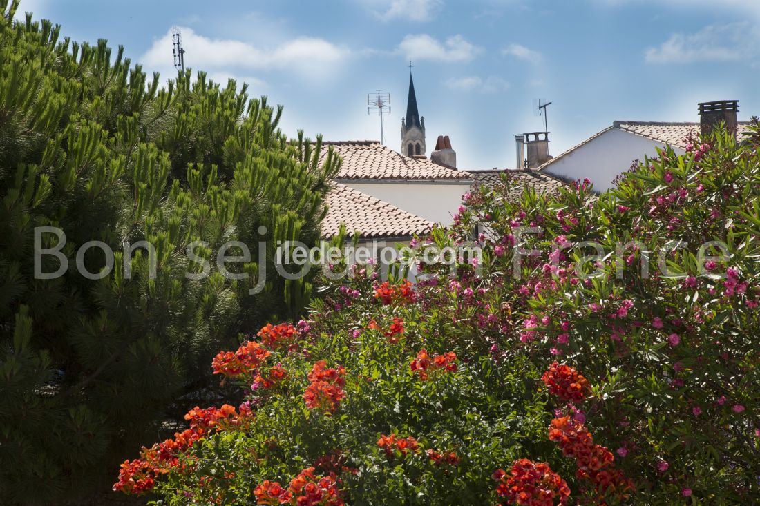 Photo 17 : NC d'une maison situ&eacute;e &agrave; La Couarde-sur-mer, &icirc;le de R&eacute;.