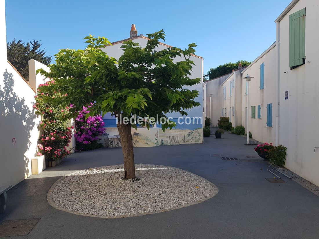 Photo 12 : NC d'une maison situ&eacute;e &agrave; La Flotte-en-R&eacute;, &icirc;le de R&eacute;.