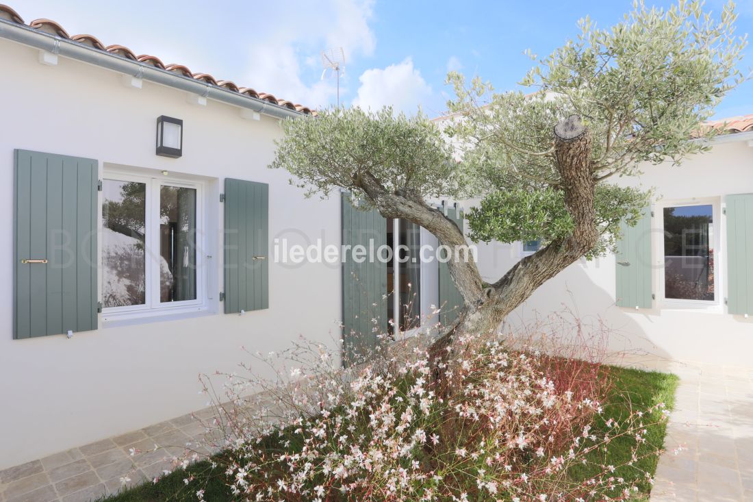 Photo 18 : EXTERIEUR d'une maison situ&eacute;e &agrave; La Flotte-en-R&eacute;, &icirc;le de R&eacute;.