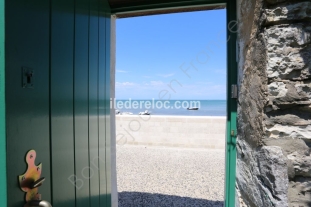 Ile de R&eacute;:Acacia