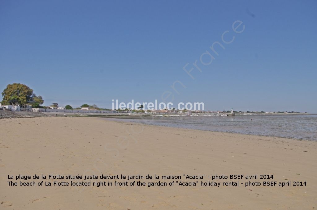 Photo 13 : NC d'une maison situ&eacute;e &agrave; La Flotte-en-R&eacute;, &icirc;le de R&eacute;.