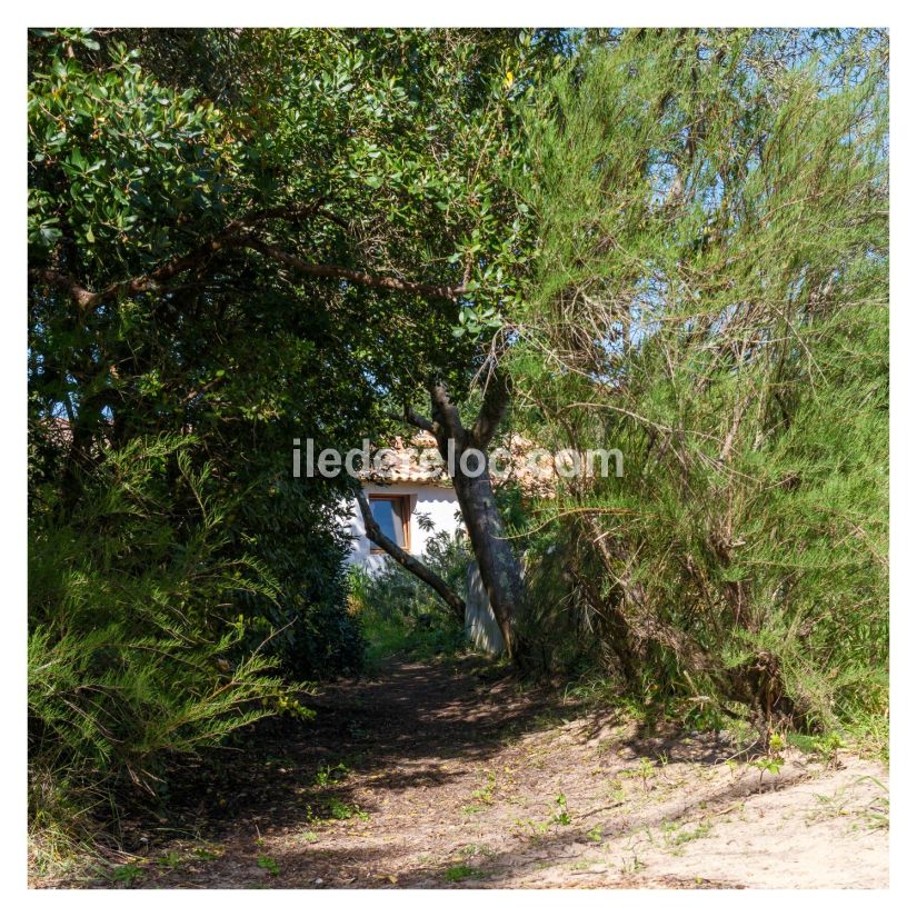 Photo 25 : JARDIN d'une maison situ&eacute;e &agrave; Saint-Cl&eacute;ment-des-Baleines, &icirc;le de R&eacute;.