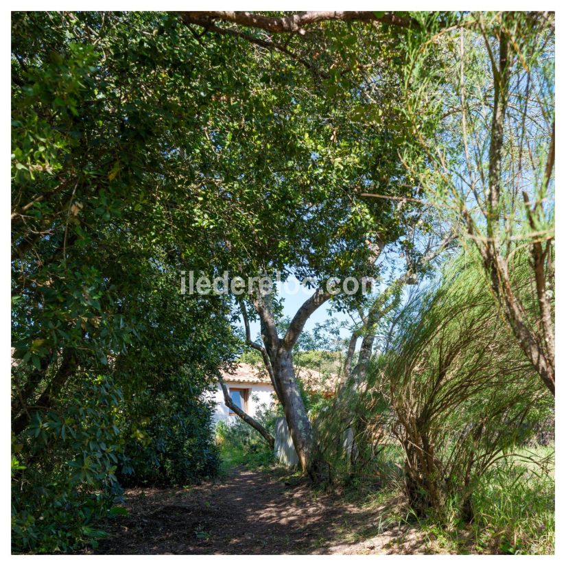 Photo 27 : JARDIN d'une maison situ&eacute;e &agrave; Saint-Cl&eacute;ment-des-Baleines, &icirc;le de R&eacute;.