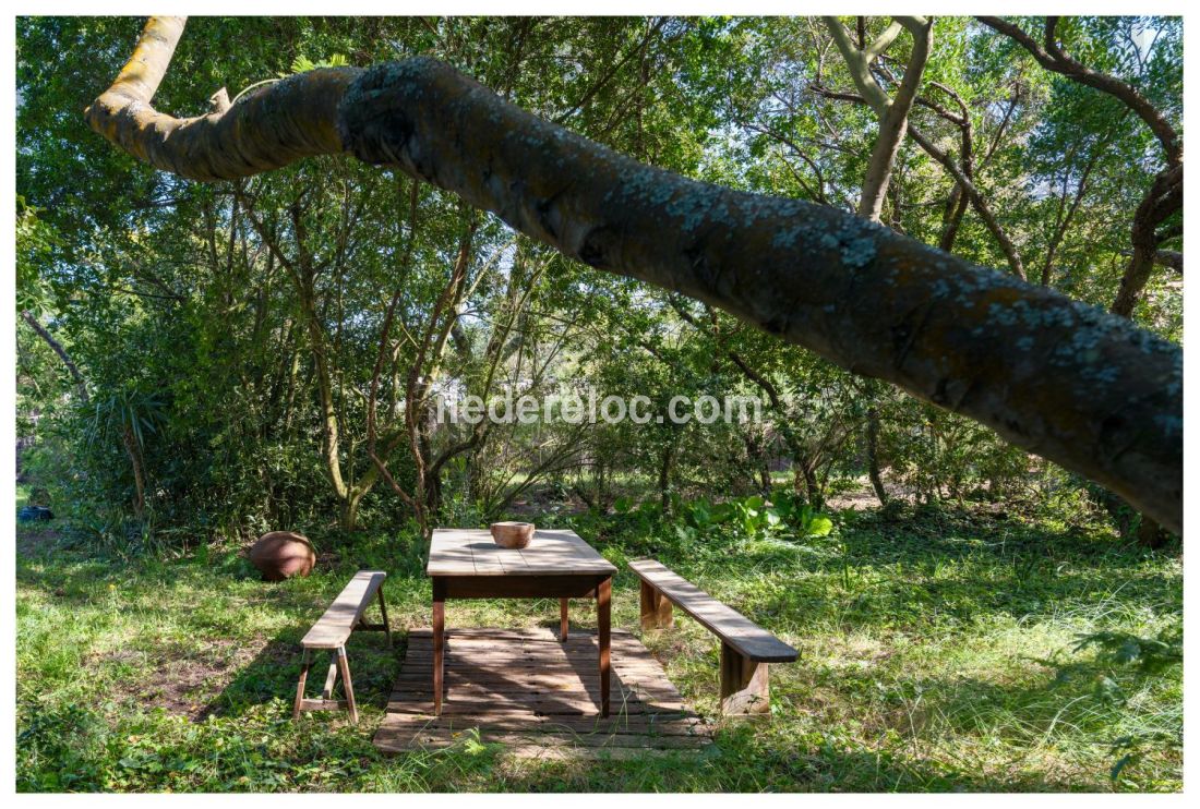 Photo 20 : JARDIN d'une maison situ&eacute;e &agrave; Saint-Cl&eacute;ment-des-Baleines, &icirc;le de R&eacute;.