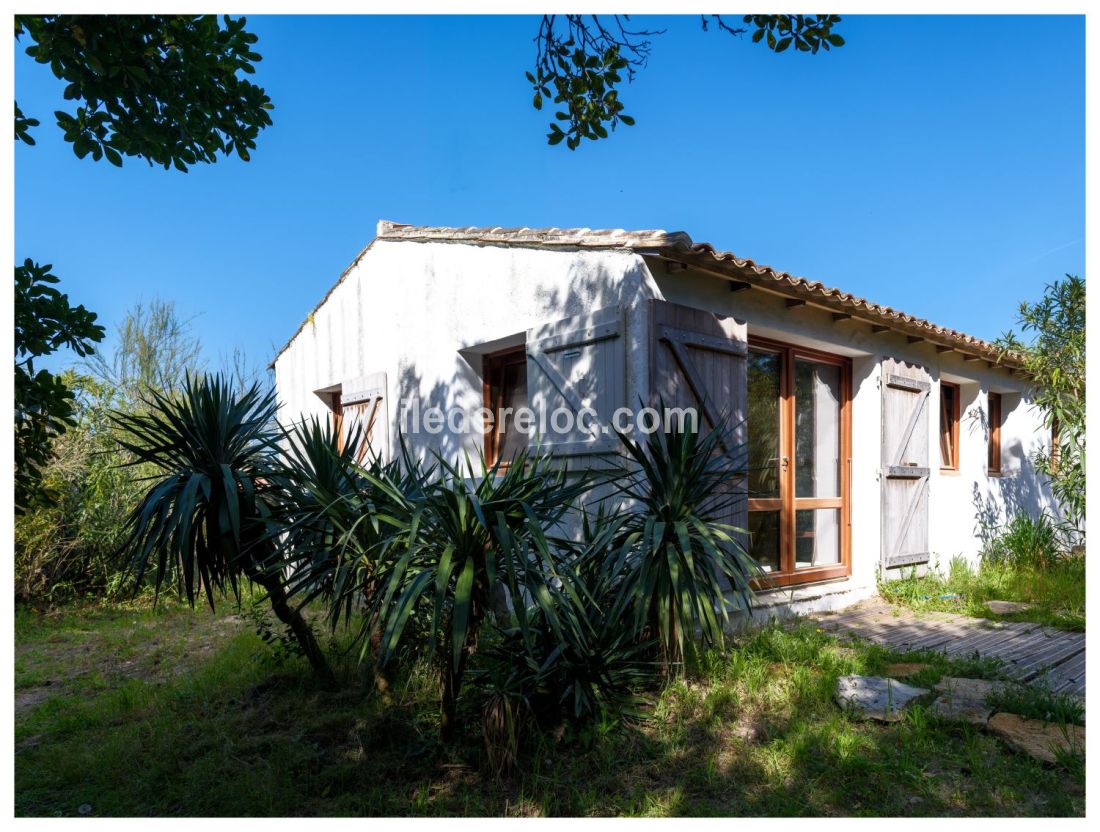 Photo 21 : JARDIN d'une maison situ&eacute;e &agrave; Saint-Cl&eacute;ment-des-Baleines, &icirc;le de R&eacute;.