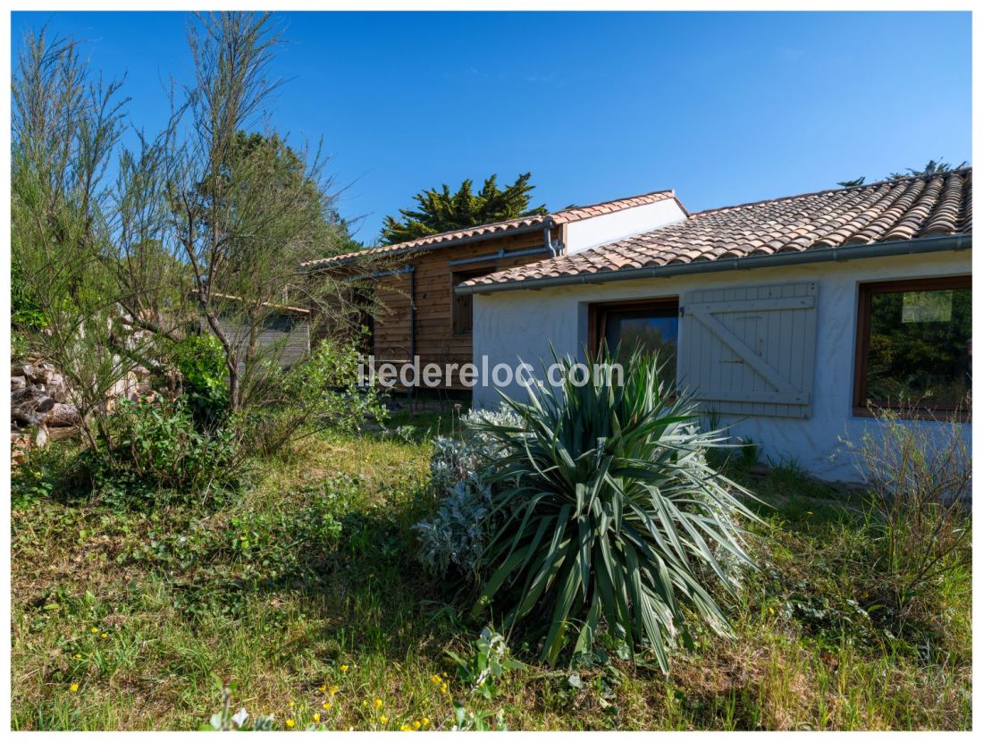 Photo 23 : JARDIN d'une maison situ&eacute;e &agrave; Saint-Cl&eacute;ment-des-Baleines, &icirc;le de R&eacute;.