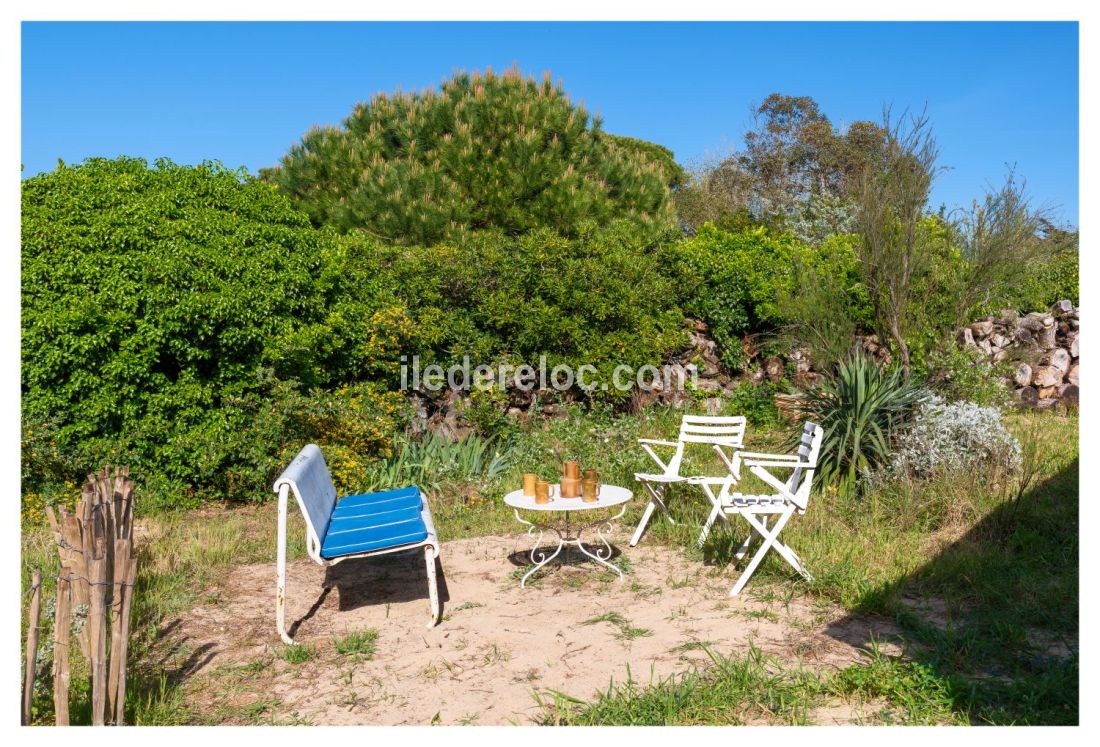 Photo 7 : JARDIN d'une maison situ&eacute;e &agrave; Saint-Cl&eacute;ment-des-Baleines, &icirc;le de R&eacute;.