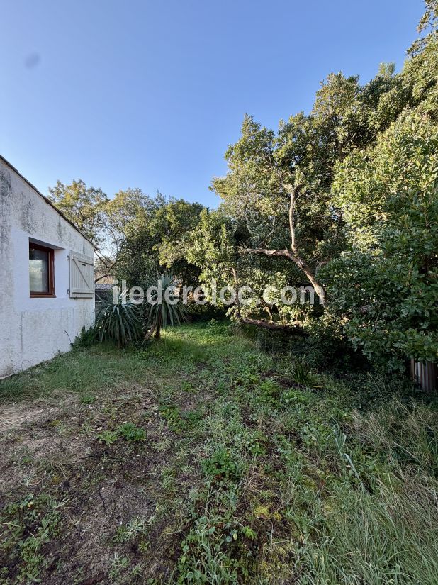 Photo 17 : JARDIN d'une maison situ&eacute;e &agrave; Saint-Cl&eacute;ment-des-Baleines, &icirc;le de R&eacute;.