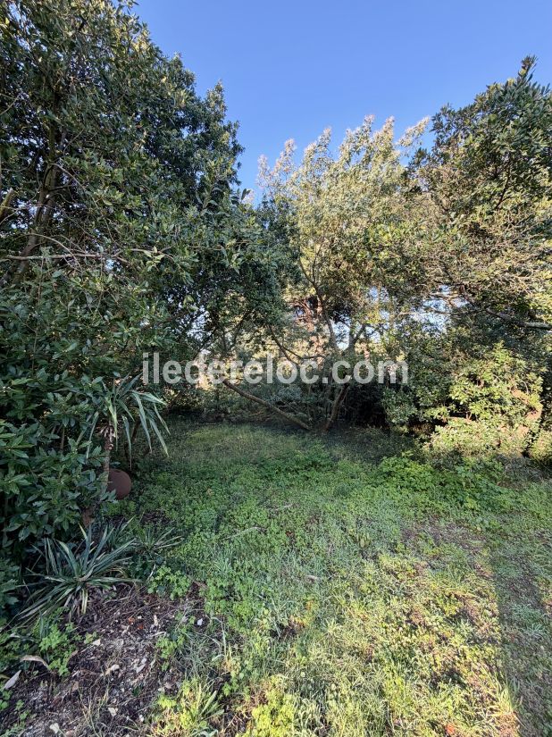 Photo 21 : JARDIN d'une maison situ&eacute;e &agrave; Saint-Cl&eacute;ment-des-Baleines, &icirc;le de R&eacute;.