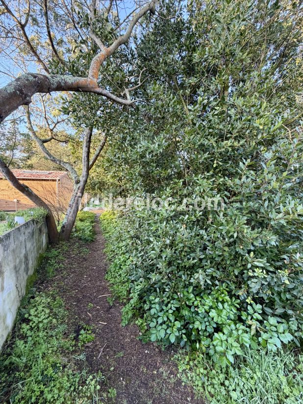 Photo 22 : JARDIN d'une maison situ&eacute;e &agrave; Saint-Cl&eacute;ment-des-Baleines, &icirc;le de R&eacute;.
