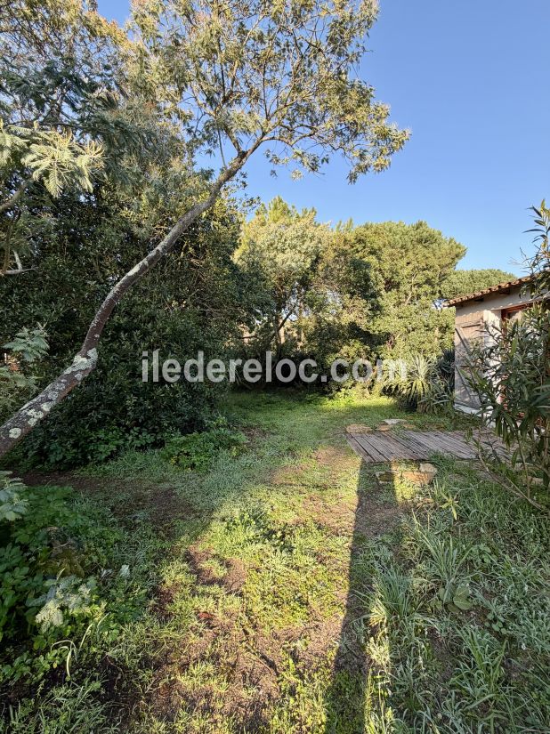 Photo 16 : JARDIN d'une maison situ&eacute;e &agrave; Saint-Cl&eacute;ment-des-Baleines, &icirc;le de R&eacute;.