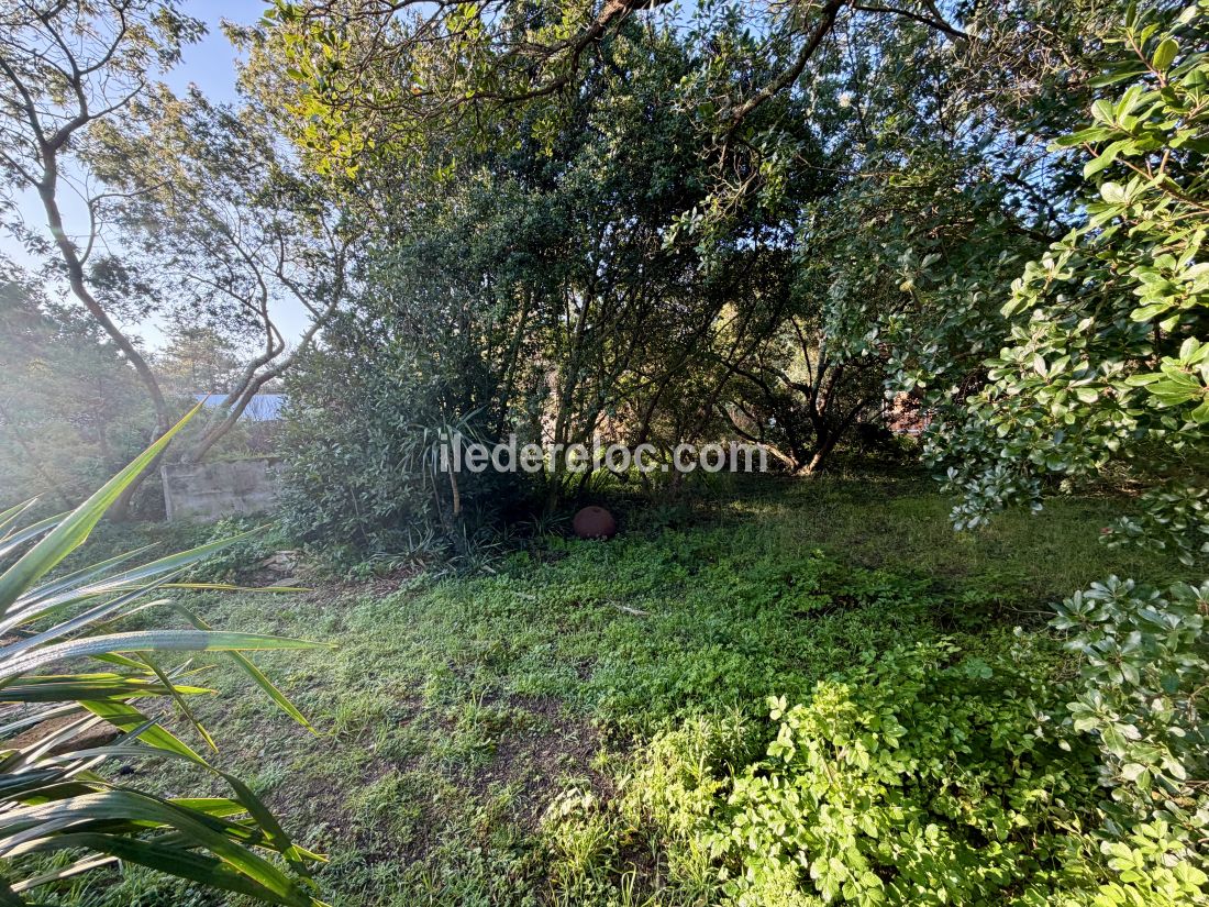 Photo 23 : JARDIN d'une maison situ&eacute;e &agrave; Saint-Cl&eacute;ment-des-Baleines, &icirc;le de R&eacute;.