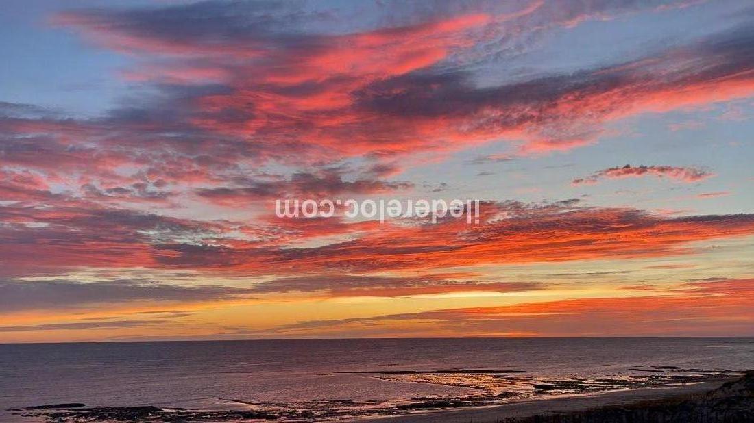 Photo 11 : JARDIN d'une maison situ&eacute;e &agrave; Saint-Cl&eacute;ment-des-Baleines, &icirc;le de R&eacute;.