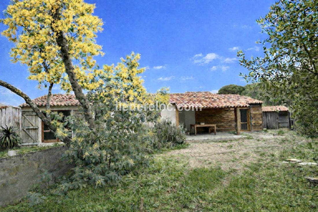 Photo 13 : JARDIN d'une maison situ&eacute;e &agrave; Saint-Cl&eacute;ment-des-Baleines, &icirc;le de R&eacute;.