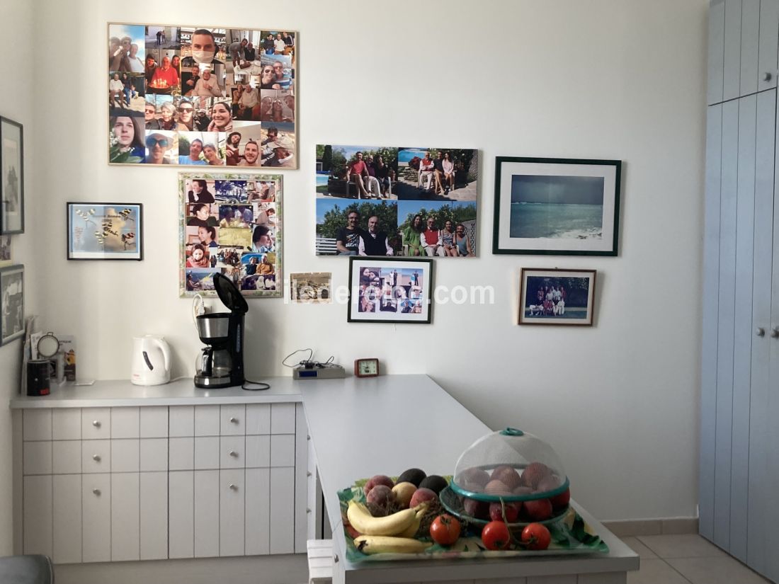 Photo 41 : CELLIER d'une maison situ&eacute;e &agrave; Saint-Martin-de-R&eacute;, &icirc;le de R&eacute;.