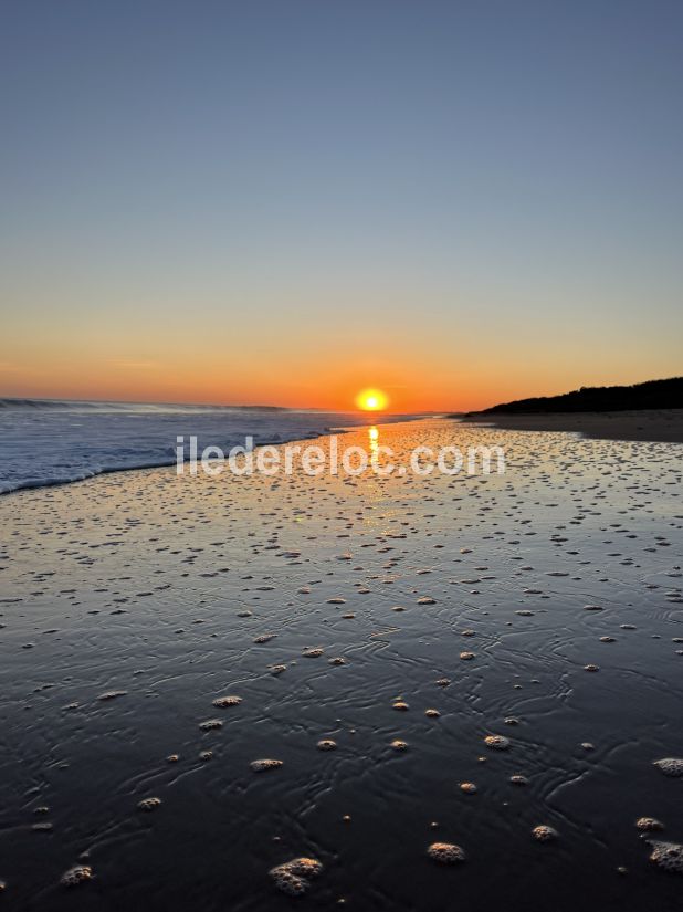 Photo 73 : EXTERIEUR d'une maison situ&eacute;e &agrave; La Couarde-sur-mer, &icirc;le de R&eacute;.