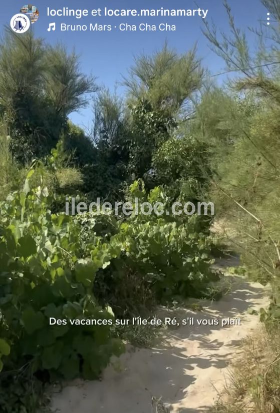 Photo 95 : NC d'une maison situ&eacute;e &agrave; La Couarde-sur-mer, &icirc;le de R&eacute;.