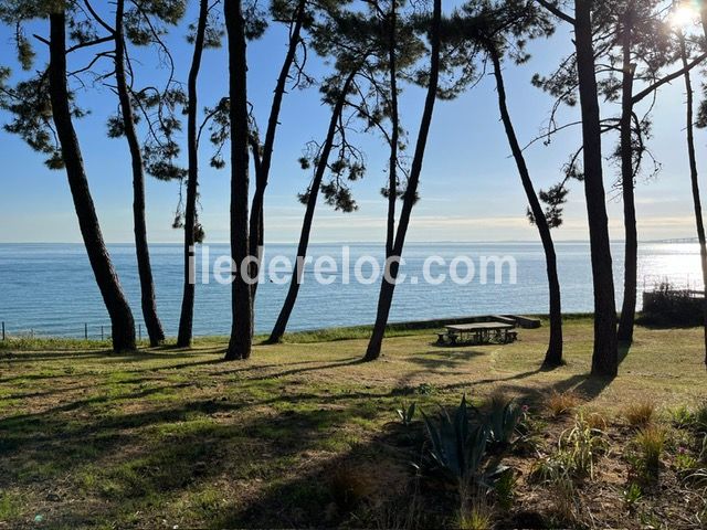 Photo 5 : NC d'une maison situ&eacute;e &agrave; Rivedoux-Plage, &icirc;le de R&eacute;.