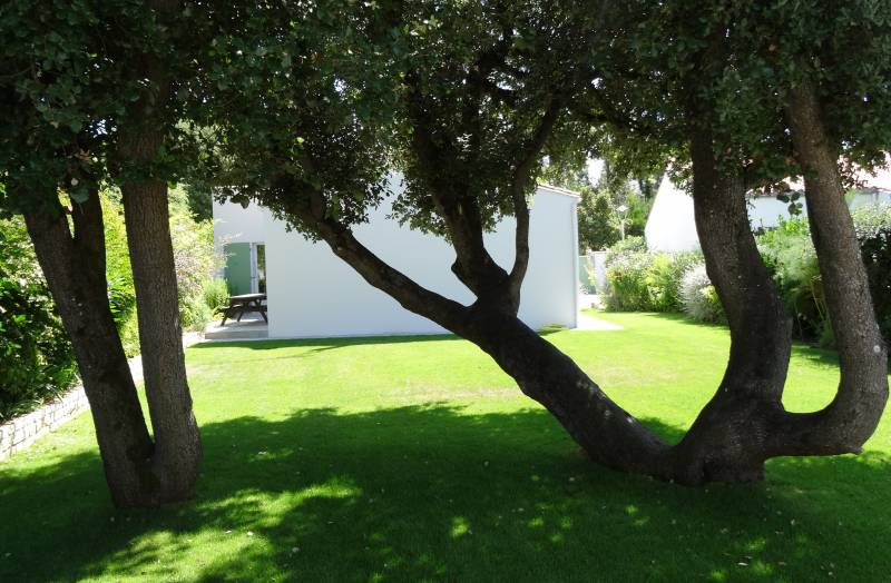 Photo 21 : JARDIN d'une maison située à La Flotte-en-Ré, île de Ré.