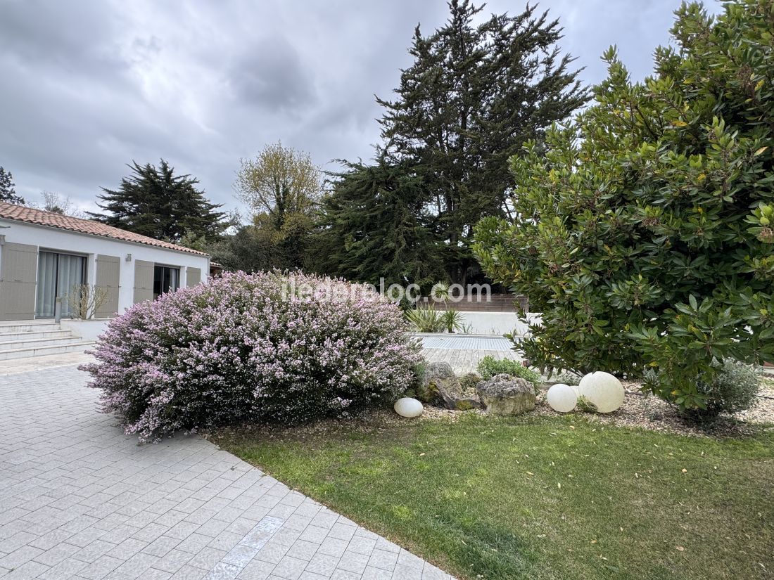Photo 42 : JARDIN d'une maison situ&eacute;e &agrave; Rivedoux-Plage, &icirc;le de R&eacute;.