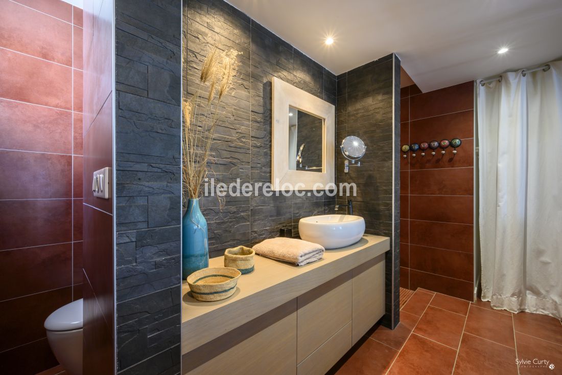 Photo 15 : SALLEDEBAIN d'une maison situ&eacute;e &agrave; Le Bois-Plage-en-R&eacute;, &icirc;le de R&eacute;.