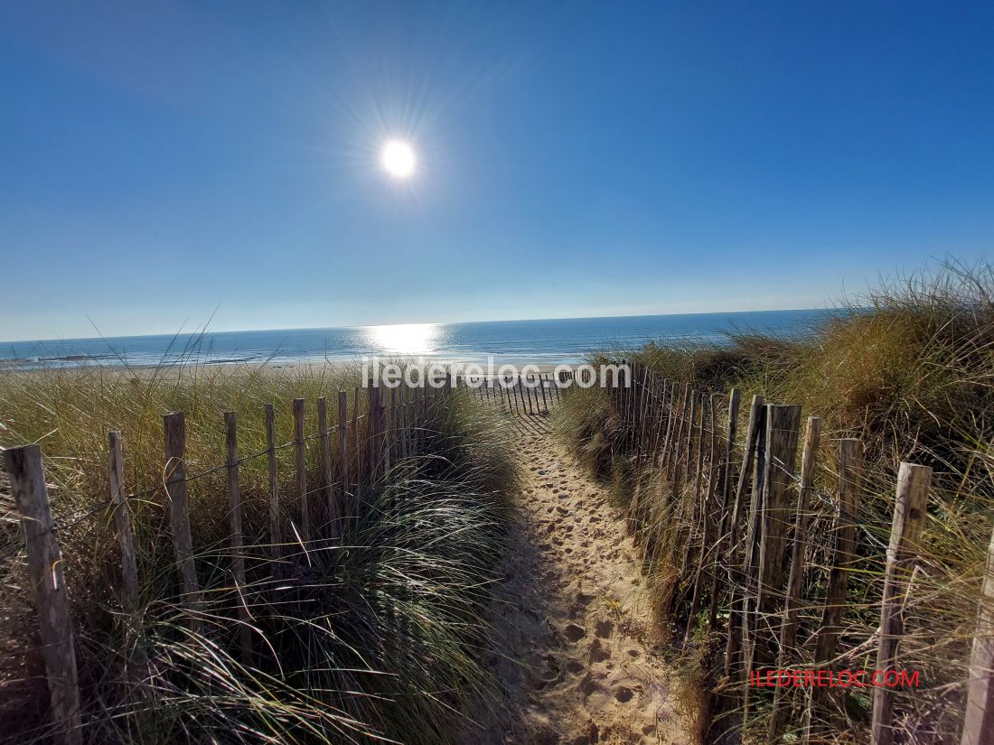 Photo 8 : AUTRE d'une maison situ&eacute;e &agrave; Le Bois-Plage-en-R&eacute;, &icirc;le de R&eacute;.
