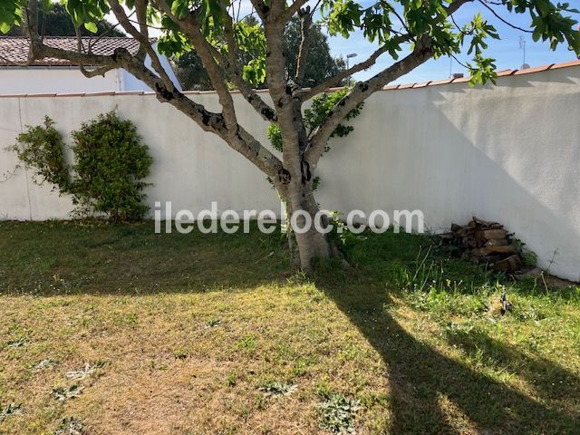 Photo 4 : JARDIN d'une maison situ&eacute;e &agrave; La Couarde-sur-mer, &icirc;le de R&eacute;.