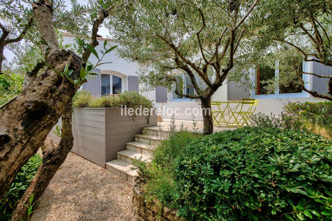 Photo 15 : TERRASSE d'une maison situ&eacute;e &agrave; La Flotte-en-R&eacute;, &icirc;le de R&eacute;.