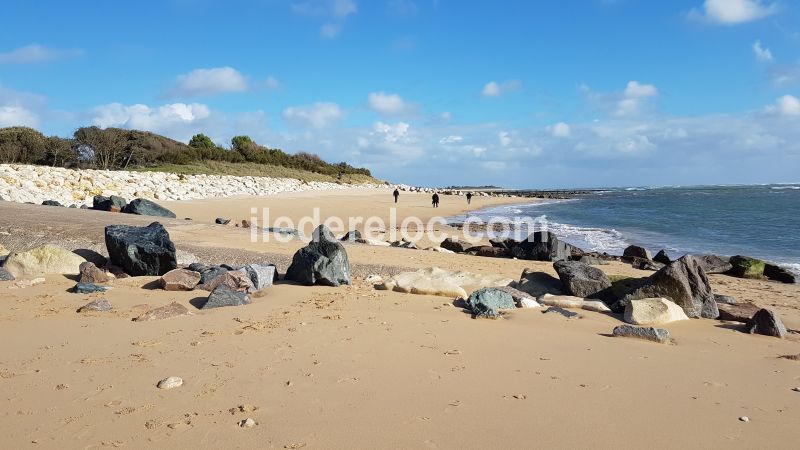 Photo 10 : EXTERIEUR d'une maison situ&eacute;e &agrave; Ars en R&eacute;, &icirc;le de R&eacute;.