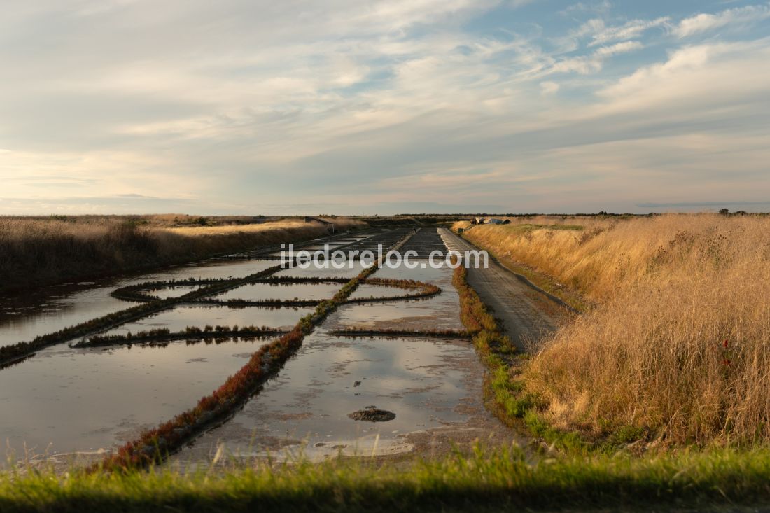 Photo 21 : AUTRE d'une maison situ&eacute;e &agrave; Loix, &icirc;le de R&eacute;.