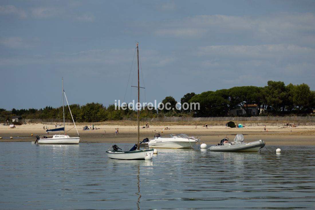 Photo 26 : AUTRE d'une maison situ&eacute;e &agrave; Loix, &icirc;le de R&eacute;.