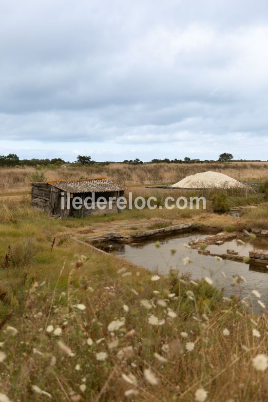 Photo 22 : AUTRE d'une maison situ&eacute;e &agrave; Loix, &icirc;le de R&eacute;.