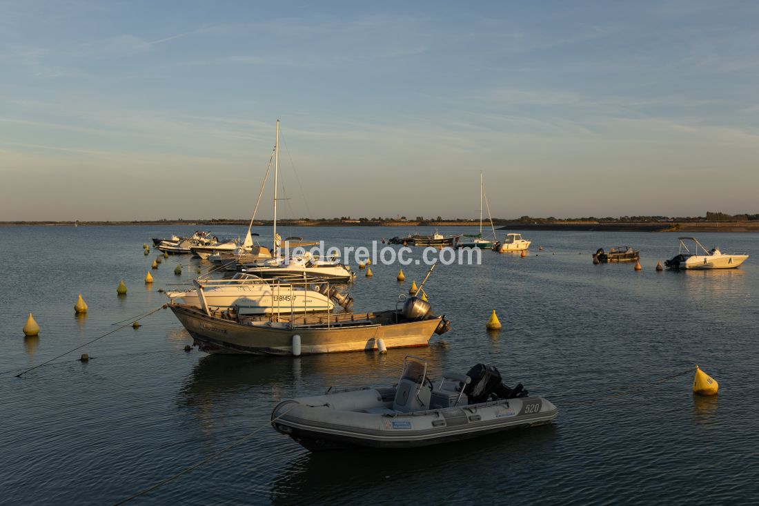 Photo 25 : AUTRE d'une maison situ&eacute;e &agrave; Loix, &icirc;le de R&eacute;.