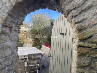 Ile de Ré:Les oliviers