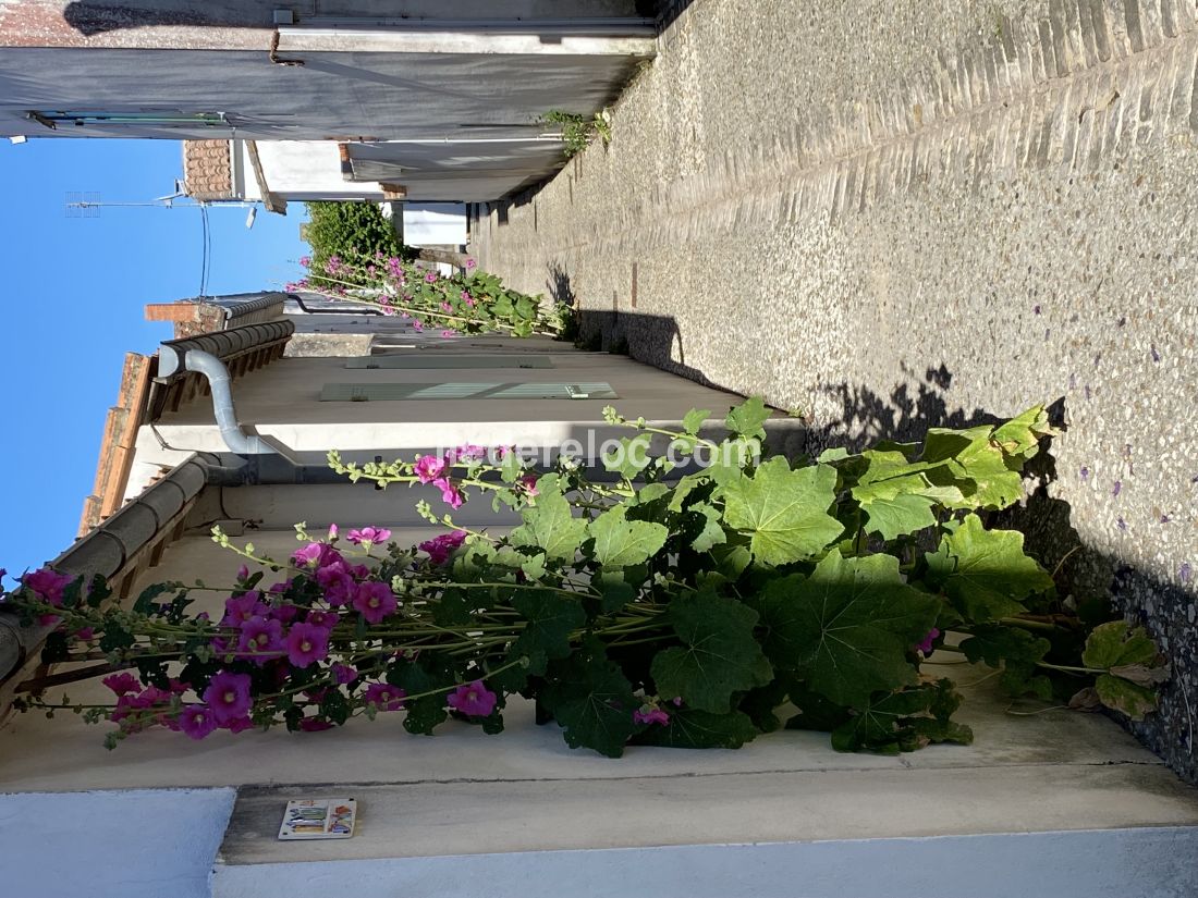 Photo 18 : NC d'une maison situ&eacute;e &agrave; Sainte-Marie-de-R&eacute;, &icirc;le de R&eacute;.