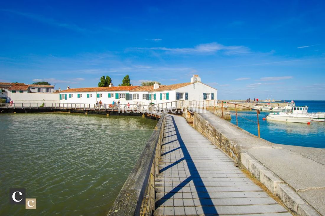 Photo 12 : AUTRE d'une maison situ&eacute;e &agrave; Loix, &icirc;le de R&eacute;.