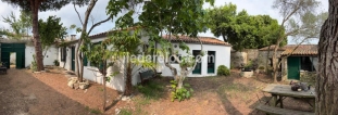 Ile de R&eacute;:Belle maison rétaise au calme avec jardin