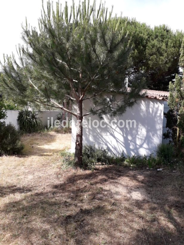 Photo 6 : NC d'une maison situ&eacute;e &agrave; La Couarde-sur-mer, &icirc;le de R&eacute;.