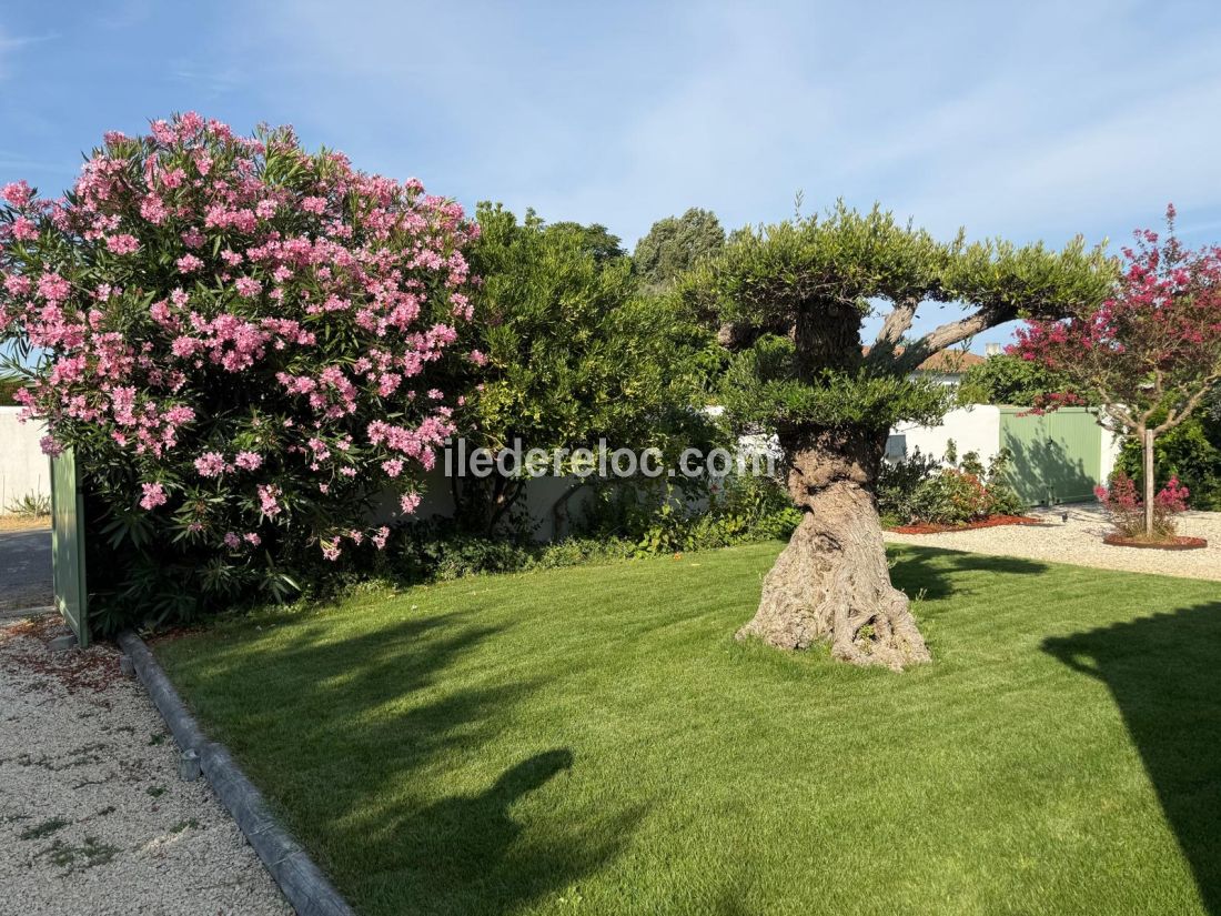 Photo 12 : NC d'une maison situ&eacute;e &agrave; Ars en R&eacute;, &icirc;le de R&eacute;.