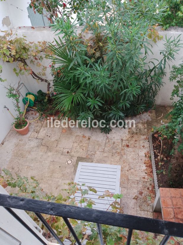 Photo 5 : JARDIN d'une maison situ&eacute;e &agrave; Loix, &icirc;le de R&eacute;.