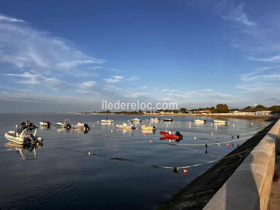 Photo 17 : NC d'une maison situ&eacute;e &agrave; La Flotte-en-R&eacute;, &icirc;le de R&eacute;.