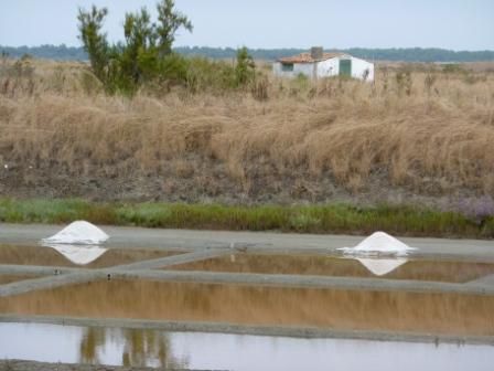 Photo 29 : AUTRE d'une maison située à La Couarde-sur-mer, île de Ré.